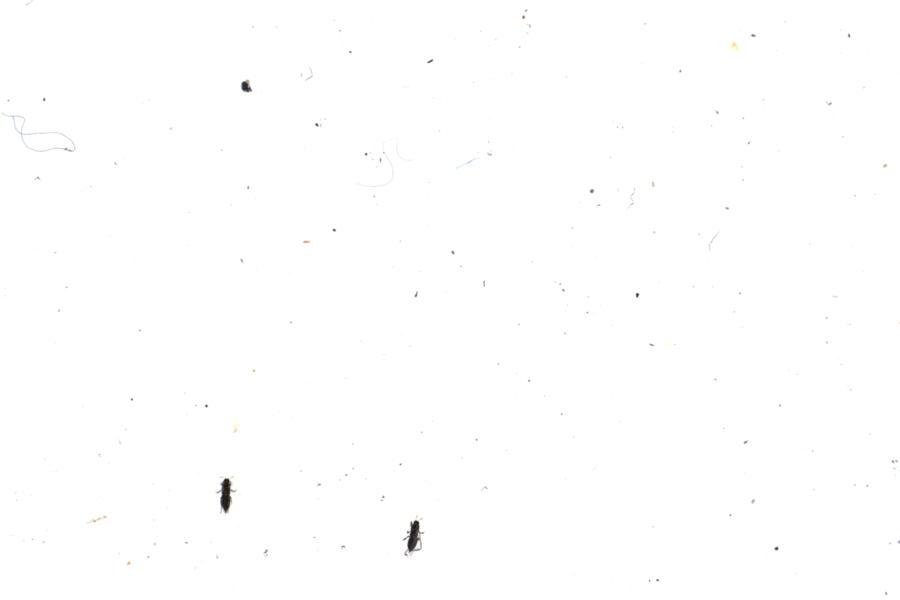 Image 63